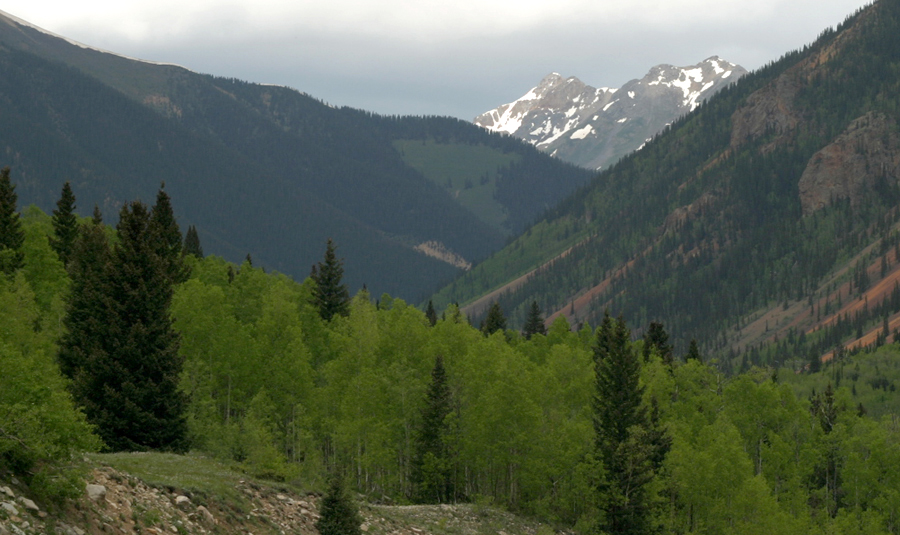 CRW_0500_JFR.jpg