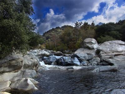 upstreamweb.jpg