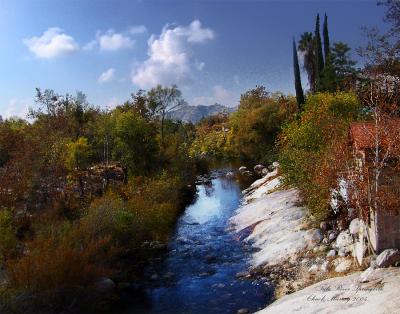 watercolor-effect.jpg