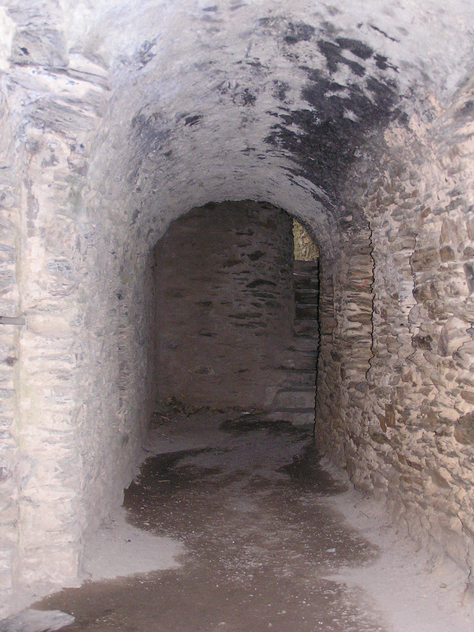 P9090108.JPG