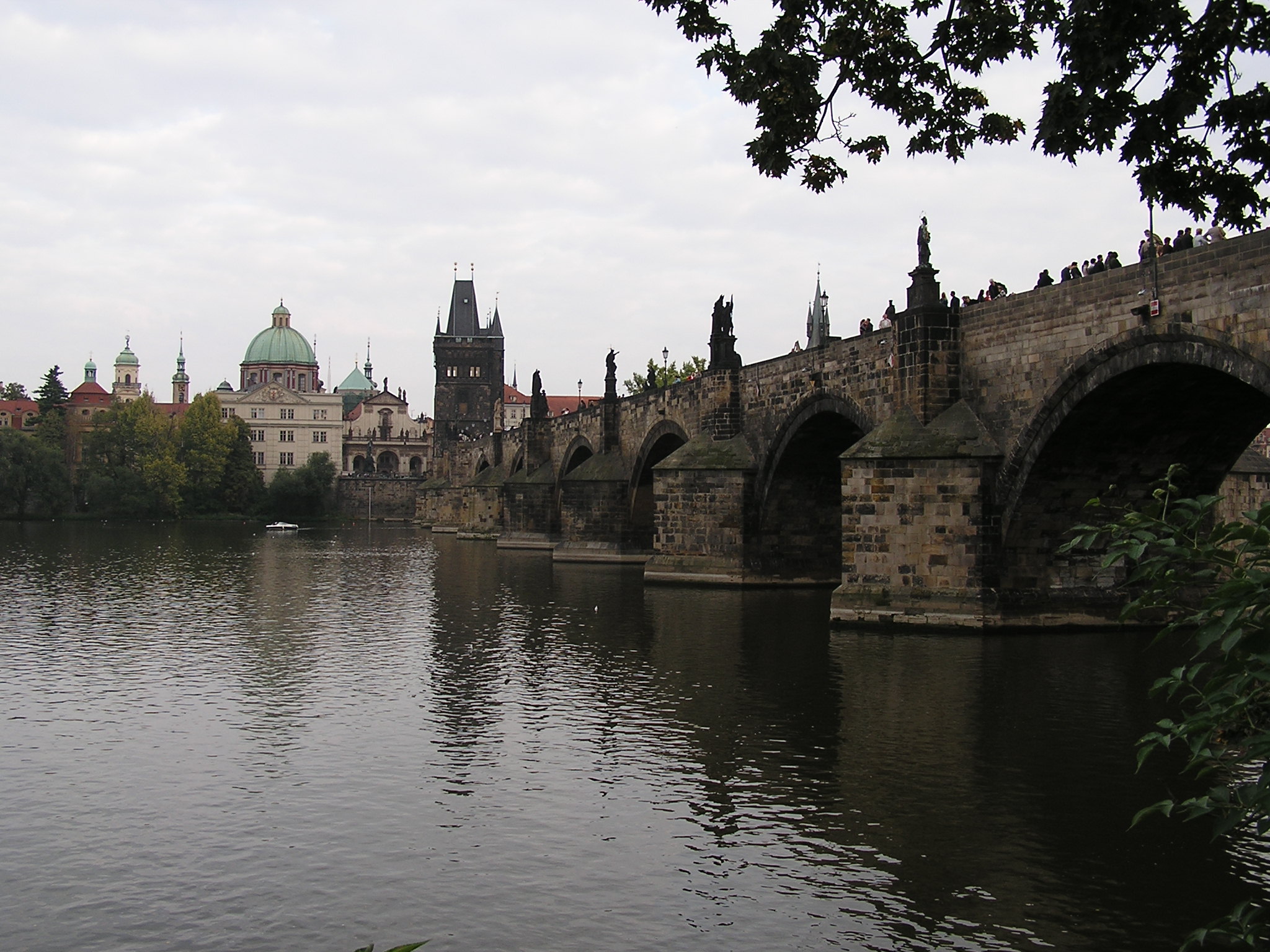 P9140238.JPG