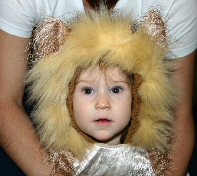 Lioness