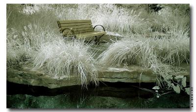 BenchIR-rwk.jpg