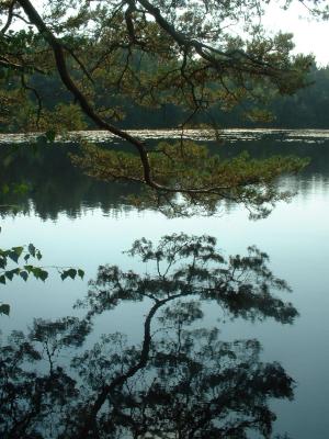 September 20: Henley Park Lake