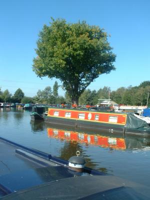September 24: Wood and Water
