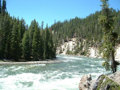 Yellowstone River  just before Lower Falls