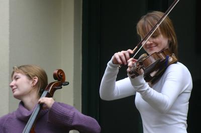 Violinsts