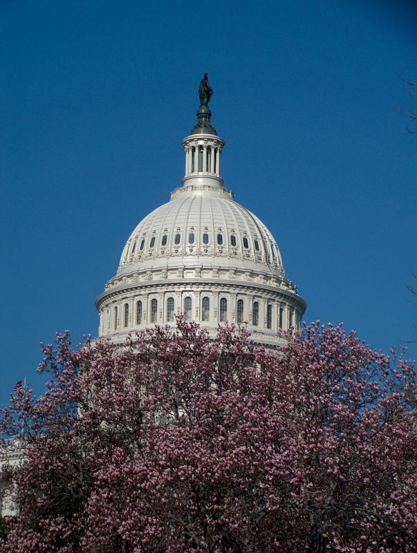 The Capitol Building
