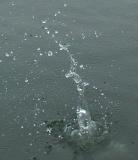 splash!
