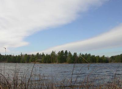Loon Lake