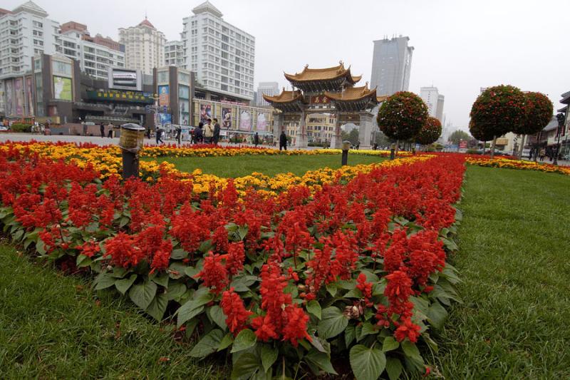 China2167.jpg
