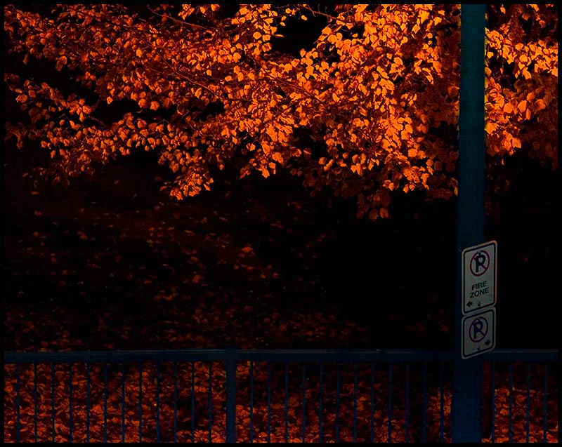 No Parking*