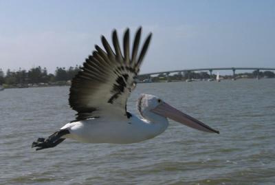 Take - Off