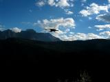 As the Crow flies