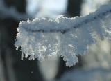 after the ice fog *