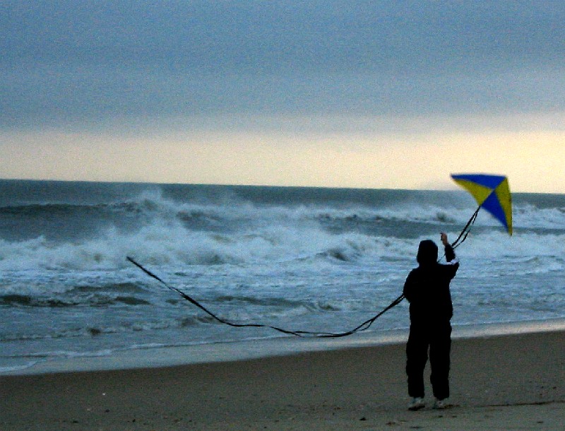 Kite 2