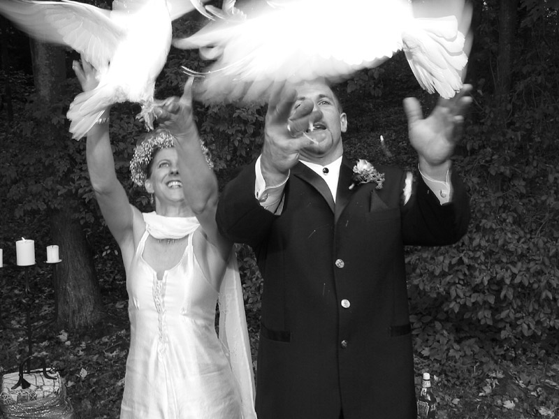 Dove of Love