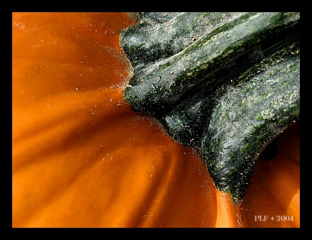 Pumpkin(*)