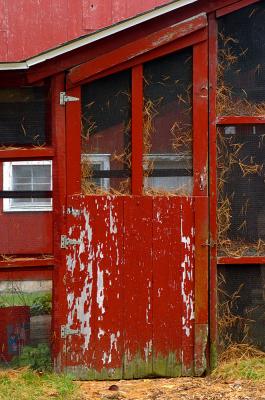 D2H_0505 W.jpg