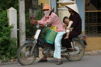 local transport