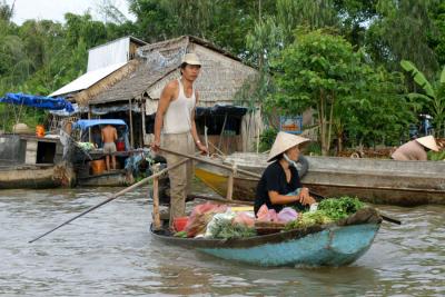 local transport