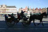 IMG_8785.JPG