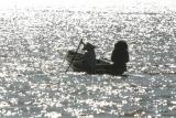 life on the water