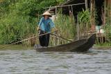 local transport