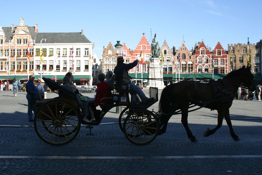 IMG_8785.JPG