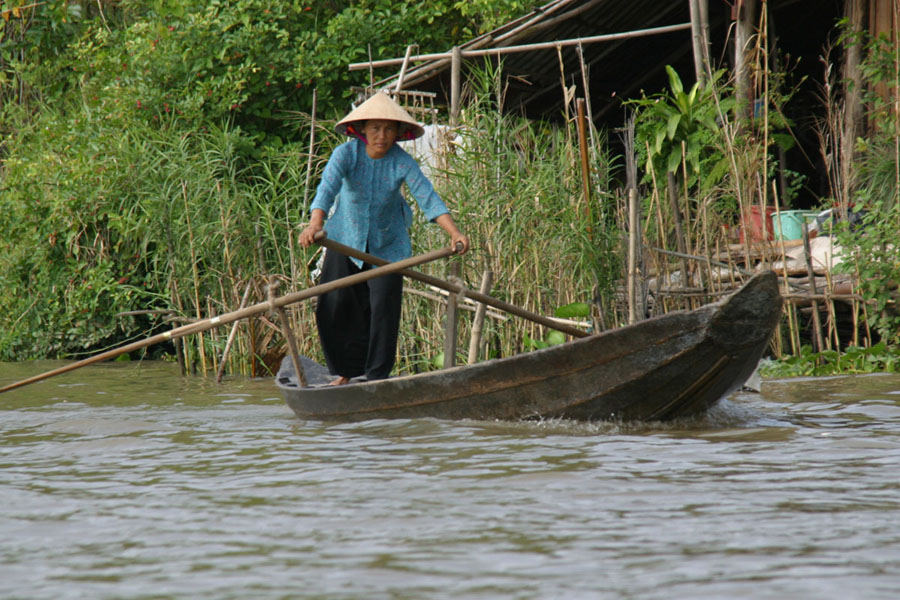 local transport