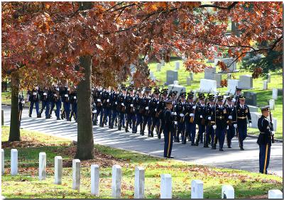 Veterans Day Washington, DC