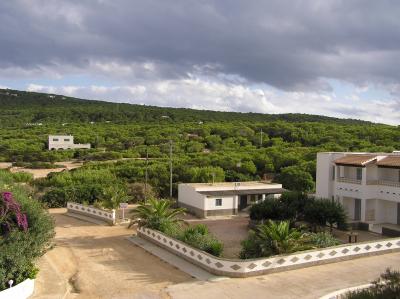 Woodland Holiday Homes