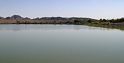 DSC_0983.jpg