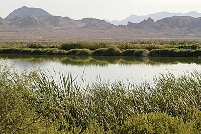 Bird-Preserve2.jpg