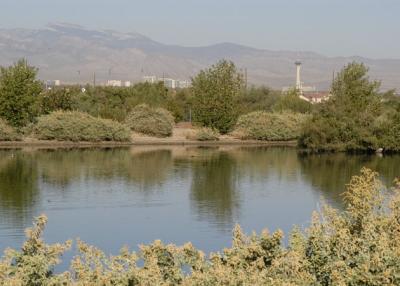 DSC_1146.jpg