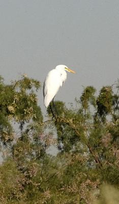 DSC_1163.jpg