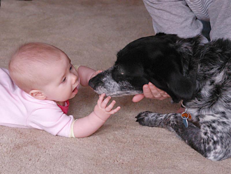 Ella getting to know Charlie