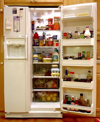 u33/digipets/medium/35715553.SonyFridge.jpg