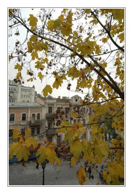 u33/dimenty/medium/35666083.DSC_0087.jpg
