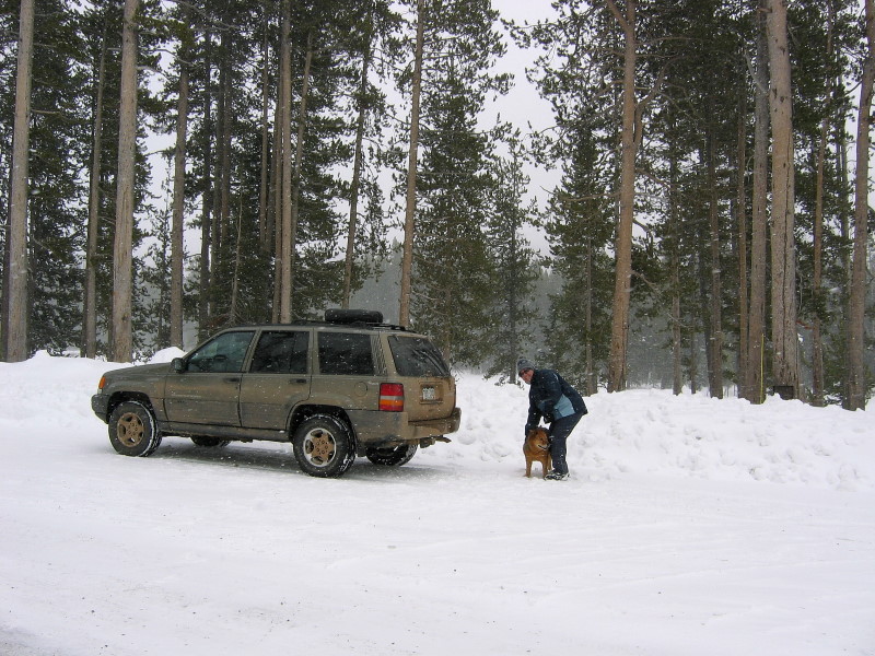 Yellowstone