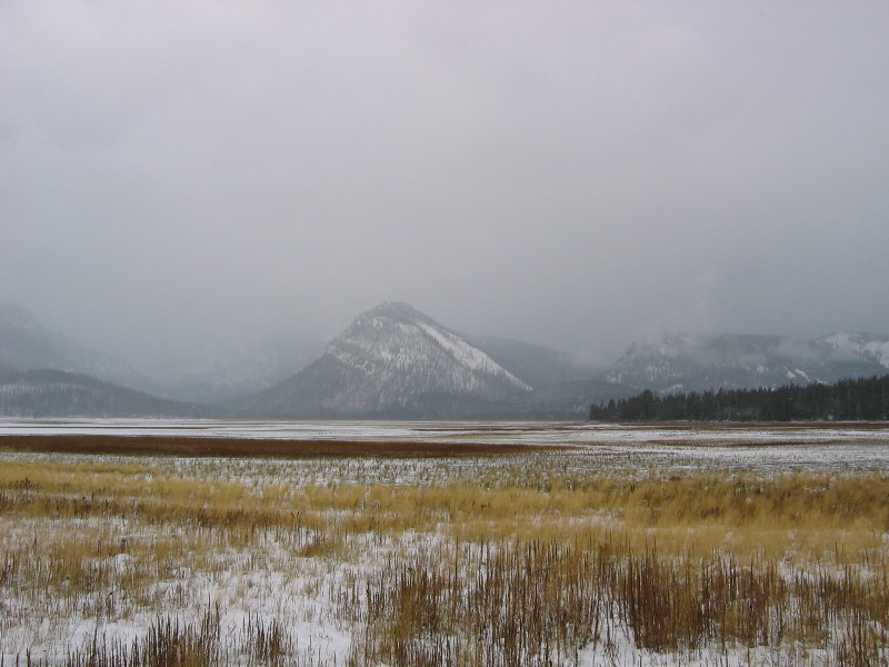 Grand Teton