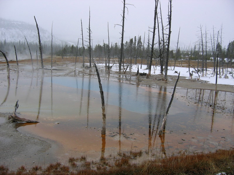 Yellowstone