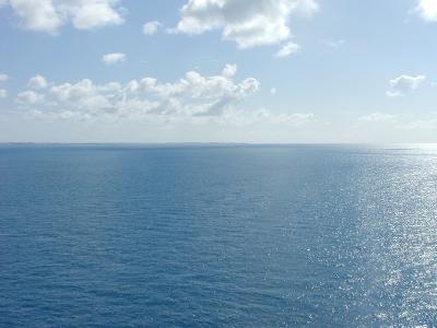P8112177.JPG