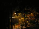 DSCN1755.JPG