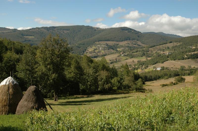 Akkus walk in the country