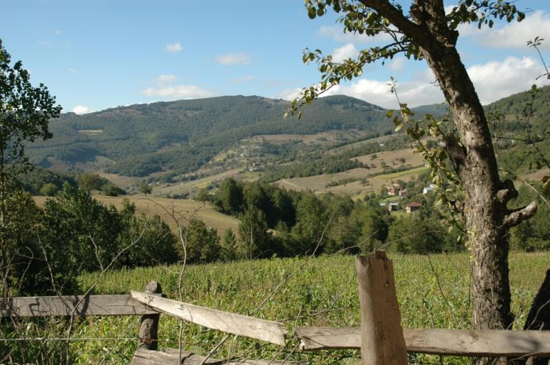 Akkus walk in the country