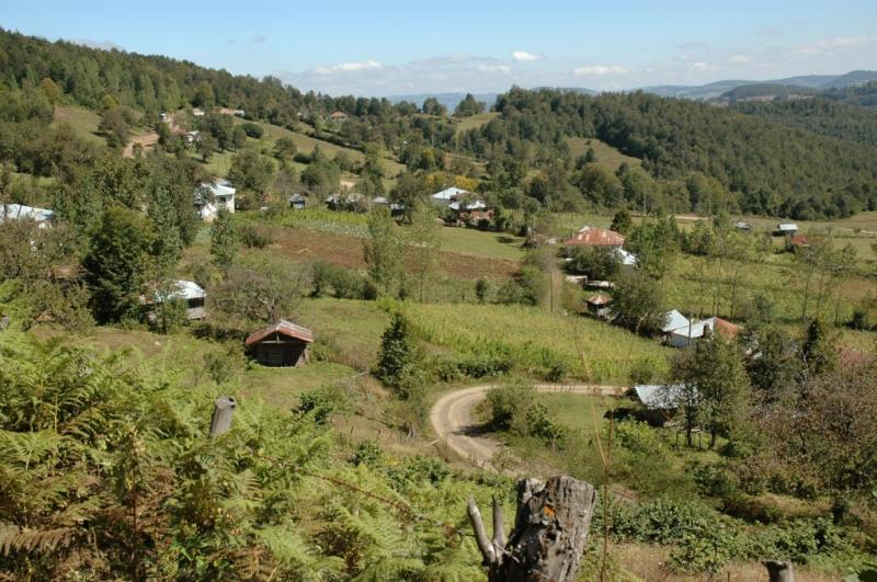 Akkus walk in the country