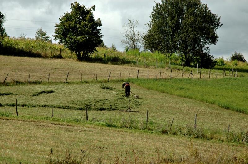 Akkus walk in the country