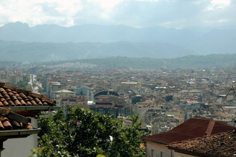Ordu