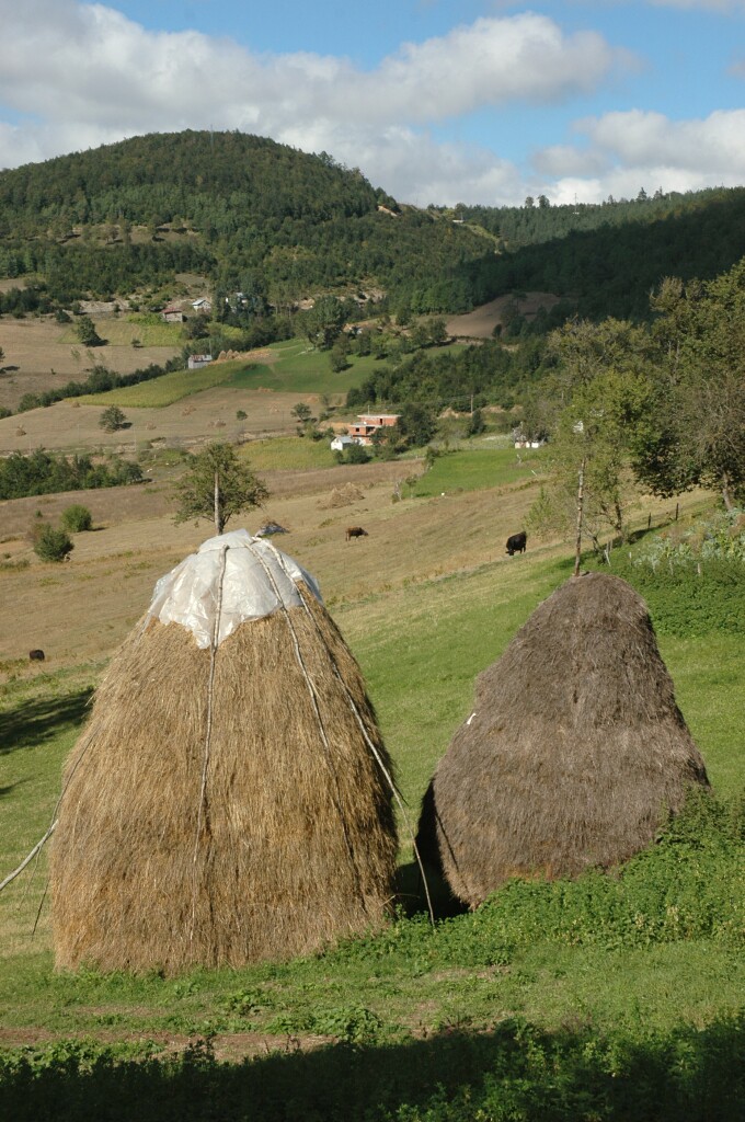 Akkus walk in the country